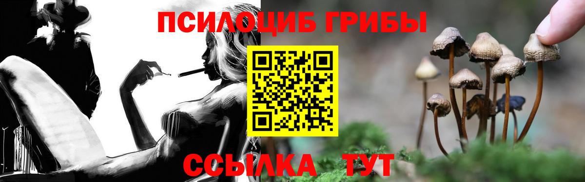 Псилоцибиновые грибы MAGIC MUSHROOMS Семёнов